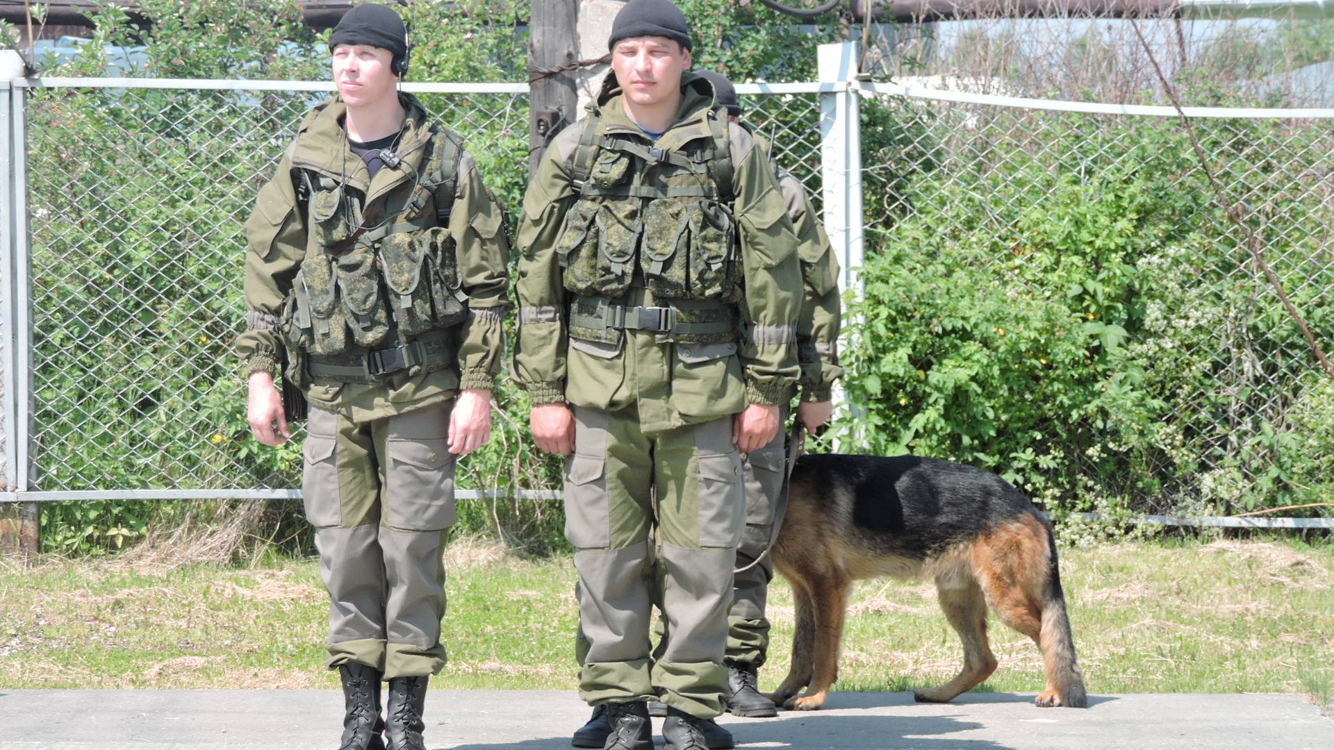 В Верхотурье сотрудники ИК-53 с собаками смогли отыскать трех заблудившихся  грибников - Фото 2