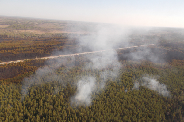 Площадь лесного пожара в Тавдинском районе составила 228 гектаров - Фото 2