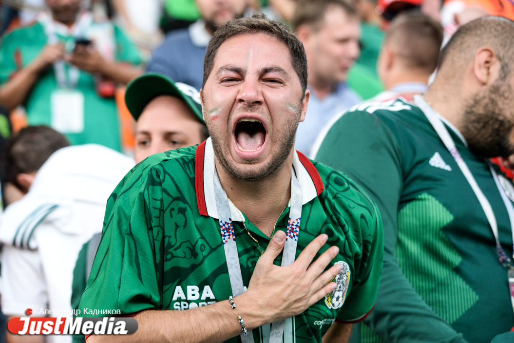 Все эмоции от поражения Мексики в матче со Швецией на лице одного болельщика. ФОТО - Фото 7