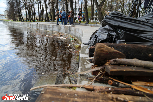 Деревья, шины и даже телефоны: в Екатеринбурге приступили к уборке городского пруда - Фото 3