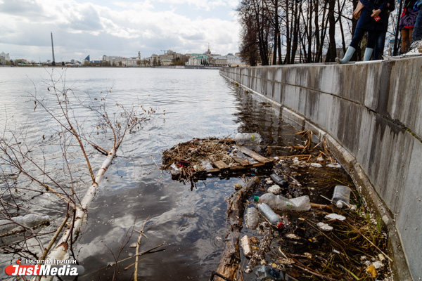 Деревья, шины и даже телефоны: в Екатеринбурге приступили к уборке городского пруда - Фото 6