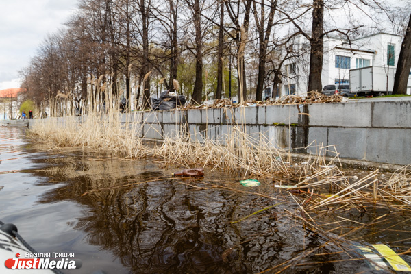 Деревья, шины и даже телефоны: в Екатеринбурге приступили к уборке городского пруда - Фото 8