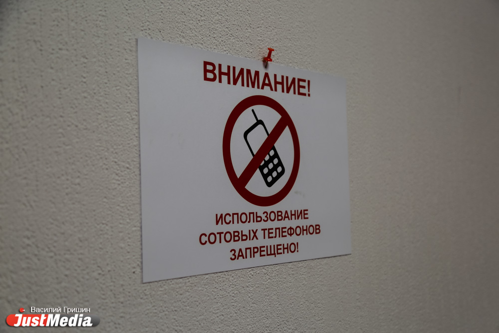 Списать не удалось: журналист JustMedia.ru написал ЕГЭ по русскому языку - Фото 11
