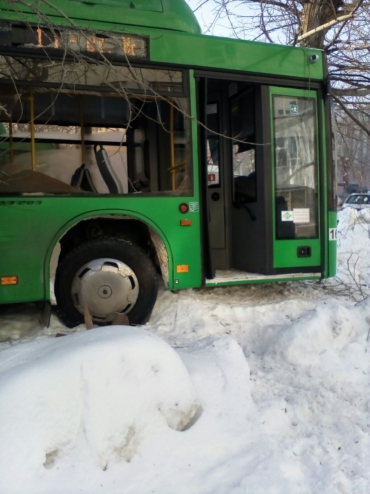 В Екатеринбурге водитель автобуса потерял сознание и снес дерево. Пострадали три человека - Фото 3