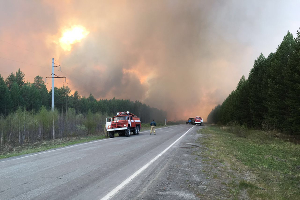 В Тавде продолжает тушение крупного лесного пожара. Движение по автотрассе восстановлено - Фото 3