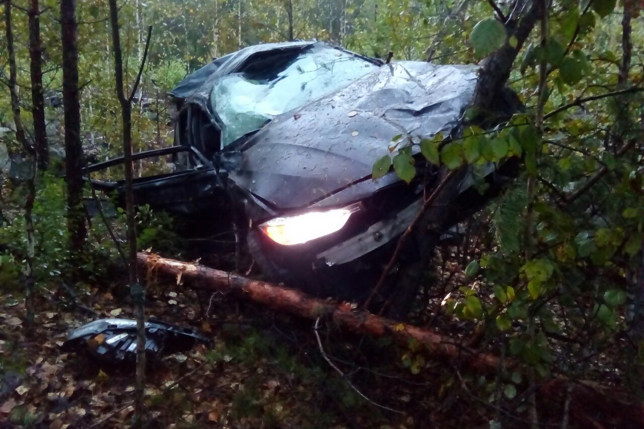 На Серовском тракте BMW вылетел в кювет и проложил просеку в лесу. Двое погибли, трое в больнице. ФОТО - Фото 2