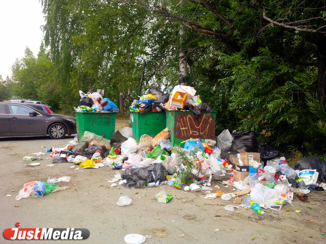 Пляжи Шарташа утопают в мусоре из-за нерасторопности чиновников - Фото 5