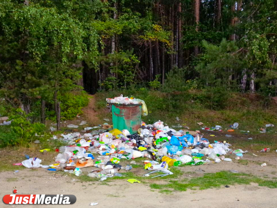 Пляжи Шарташа утопают в мусоре из-за нерасторопности чиновников - Фото 6