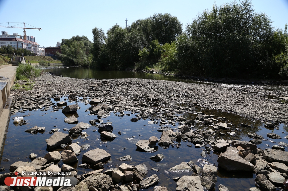 Уткам теперь приходится чаще ходить, чем плавать. В Екатеринбурге почти полностью исчезла главная городская река. ФОТО И ВИДЕО - Фото 3
