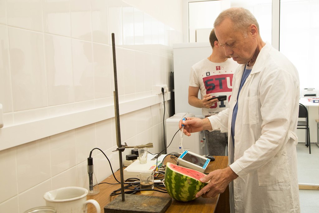 Арбузы есть еще рано. Екатеринбургские эксперты проверили полосатые ягоды на содержание нитратов и радиации - Фото 3