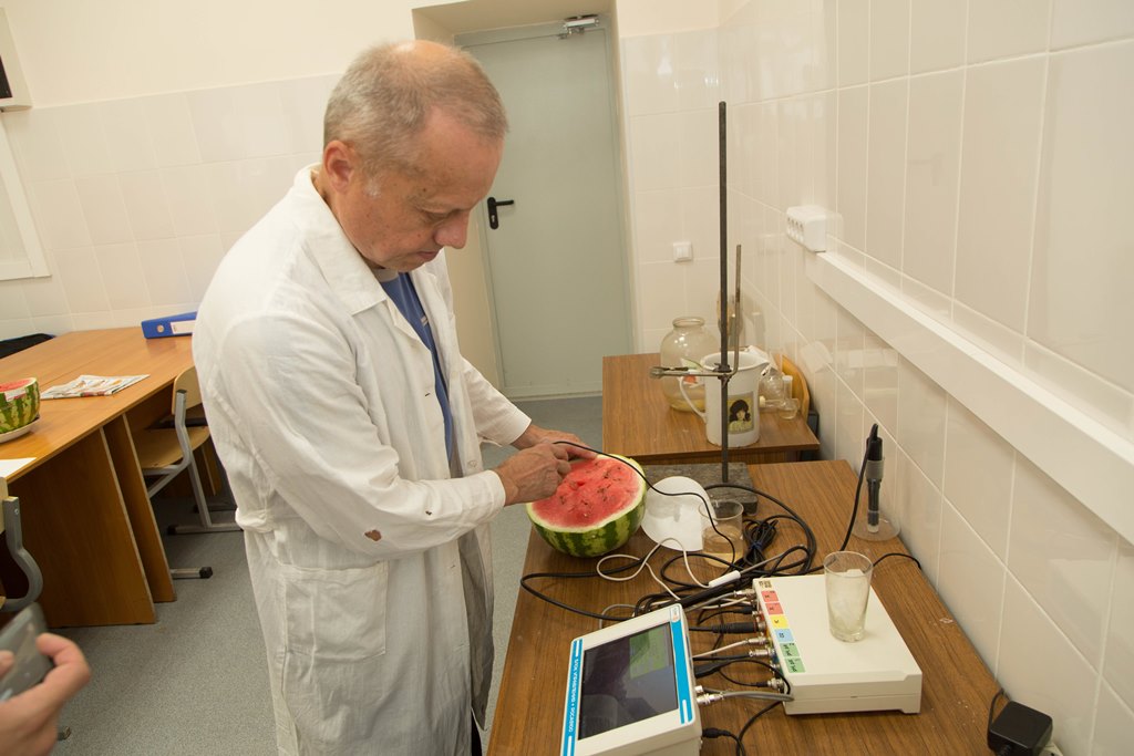 Арбузы есть еще рано. Екатеринбургские эксперты проверили полосатые ягоды на содержание нитратов и радиации - Фото 4
