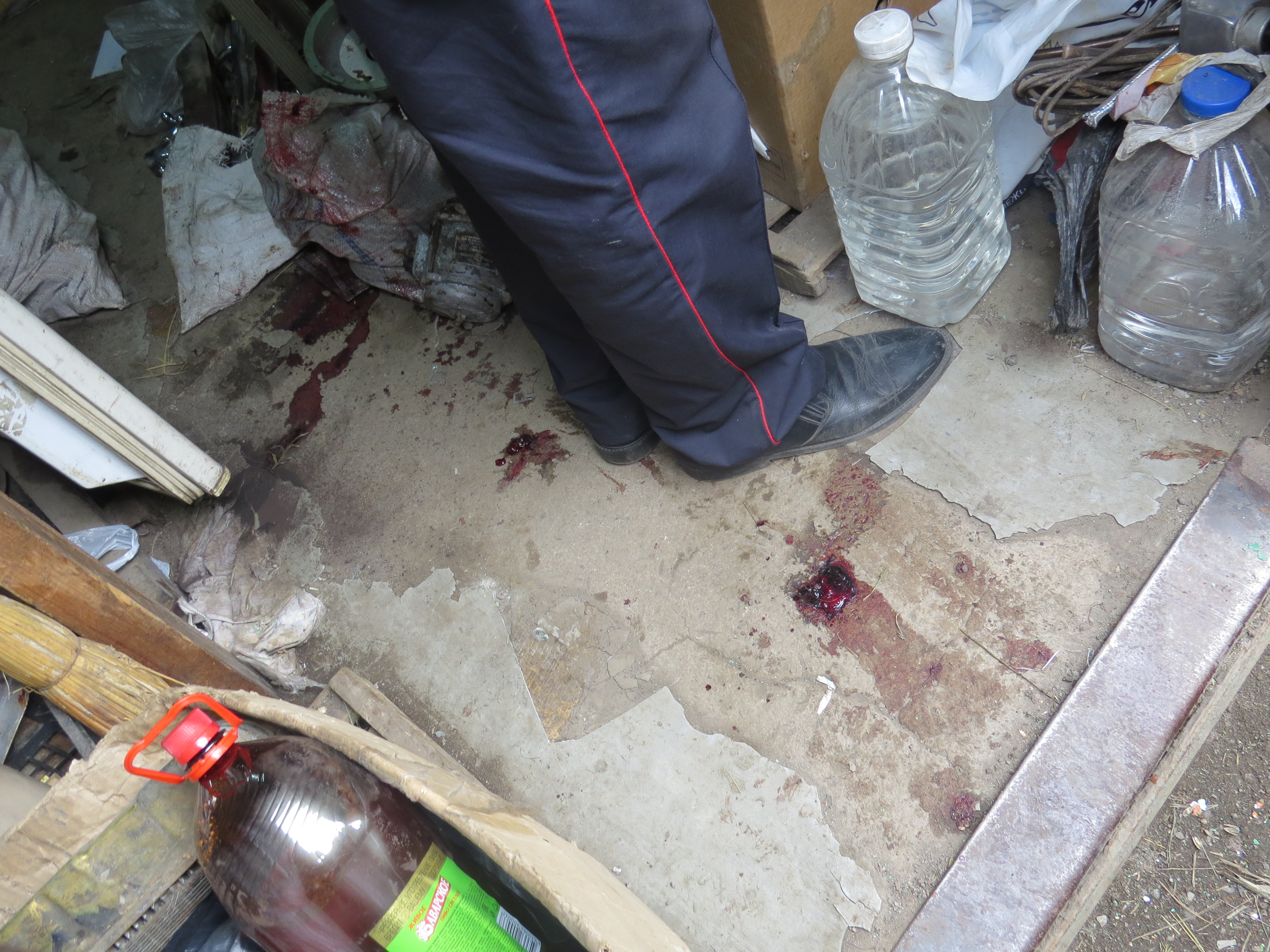 В Серове трое злоумышленников до смерти забили женщину молотком - Фото 4