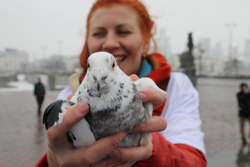 Полсотни почтовых голубей призвали весну в уральскую столицу - Фото 8