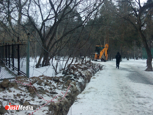 Екатеринбуржцы боятся, что новое освещение в «Зеленой роще» погубит часть деревьев парка - Фото 2