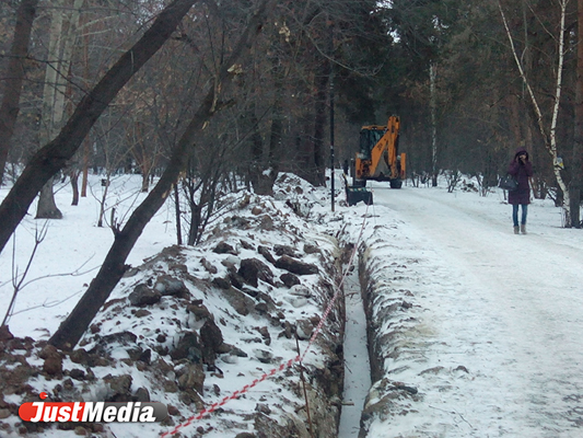 Екатеринбуржцы боятся, что новое освещение в «Зеленой роще» погубит часть деревьев парка - Фото 3