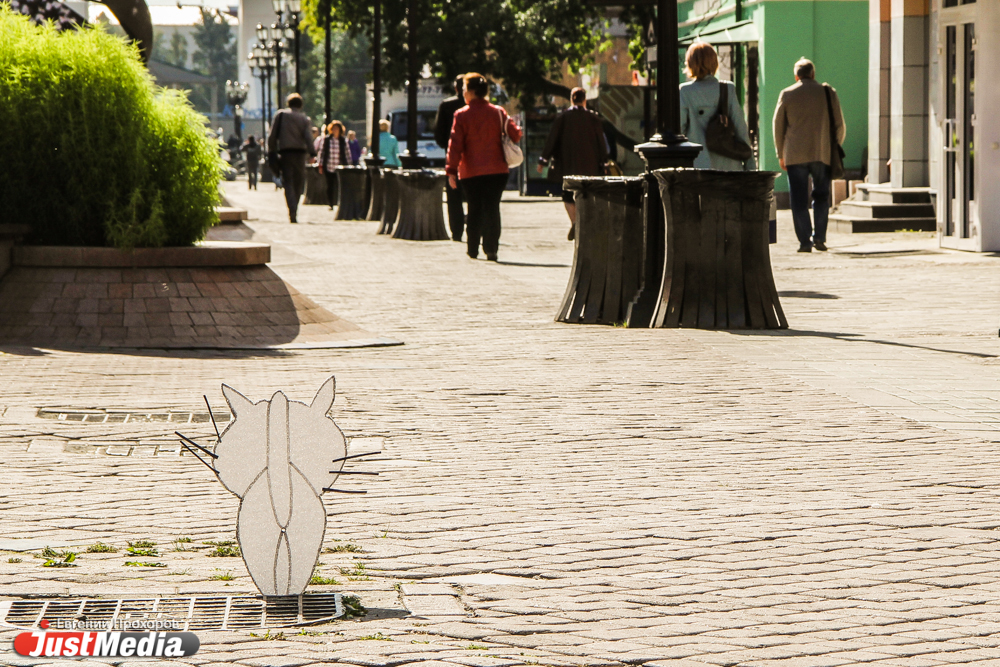 «Кошки Путина» гуляют по центру Екатеринбурга, повернувшись к горожанам попой - Фото 2