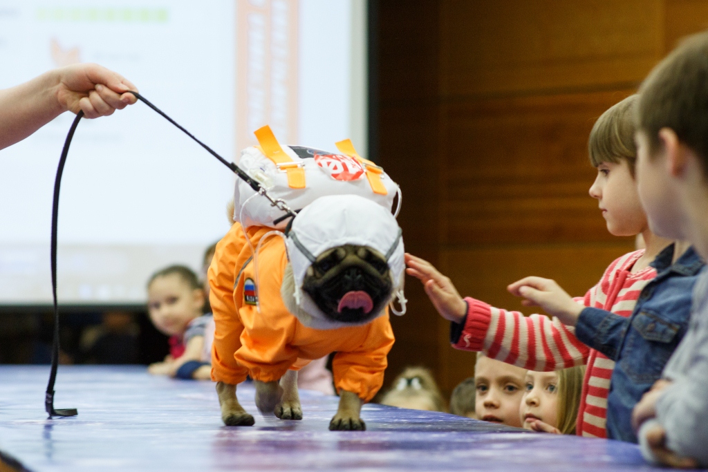 В Екатеринбурге состоялся модный показ собак-астронавтов - Фото 2