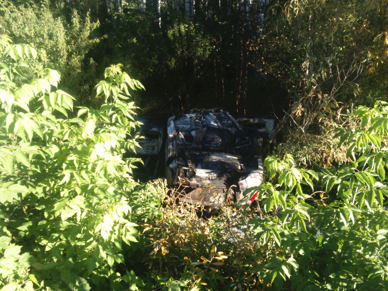 Три человека сгорели в автомобиле после ДТП вблизи Белоярки - Фото 3