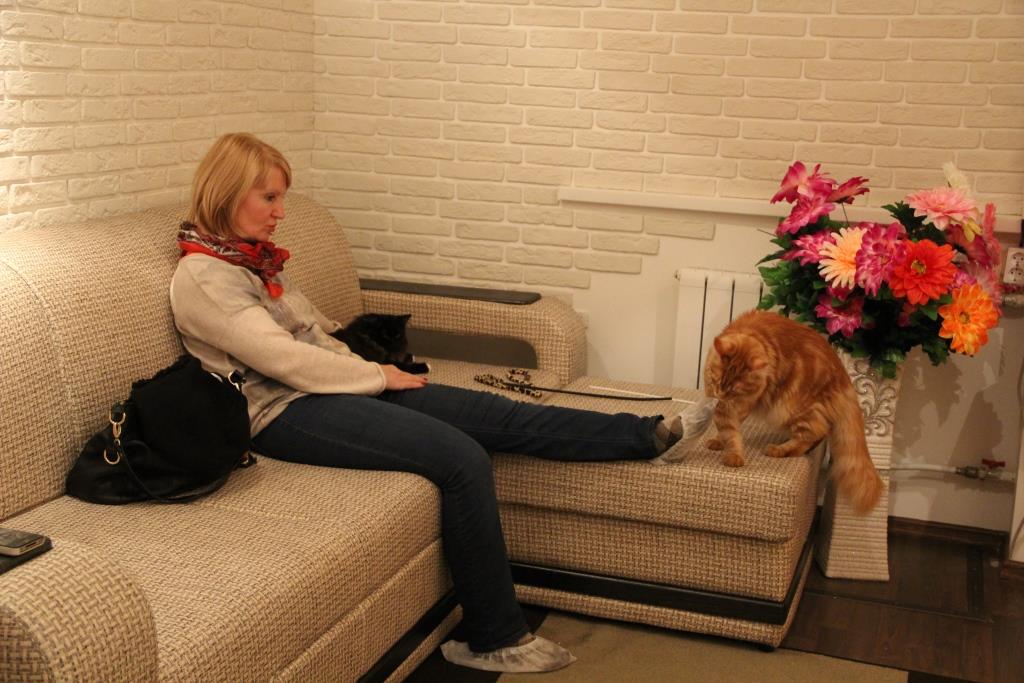 В Екатеринбурге открылось место, где можно за деньги пообщаться с котами - Фото 8