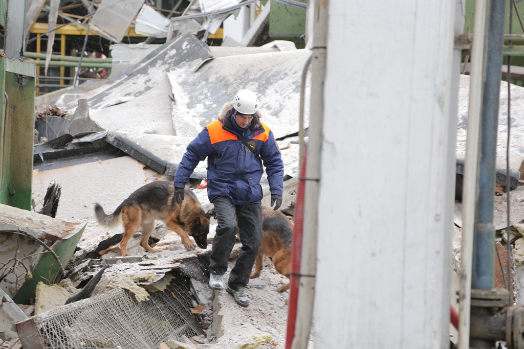 Из-под завалов ЗиКа спасены 14 человек. Все они госпитализированы. ФОТО - Фото 3