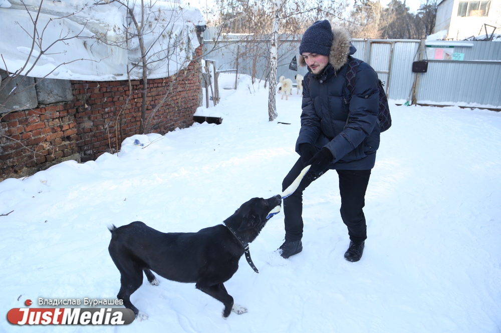 В Екатеринбурге устраивают тест-драйв бездомных собак, чтобы спасти им жизнь. СПЕЦПРОЕКТ - Фото 14