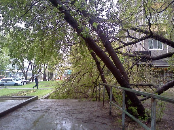 В центре Екатеринбурга дерево рухнуло на летнюю веранду кафе - Фото 5