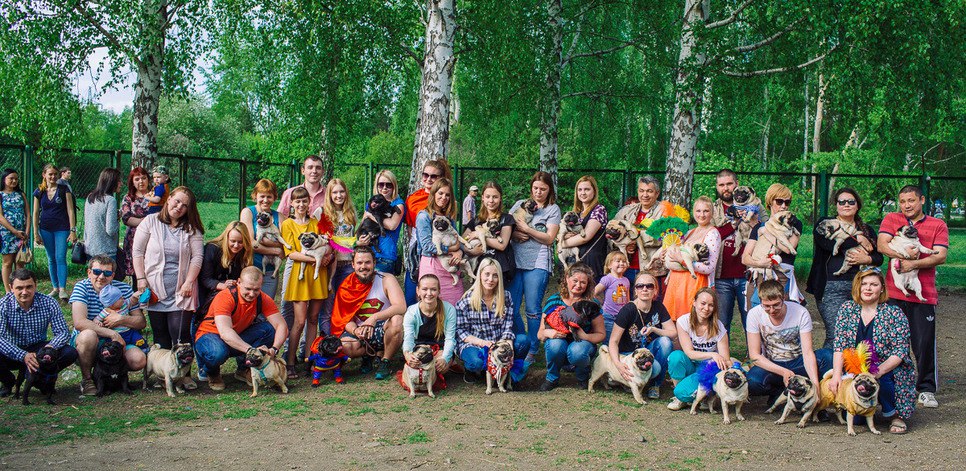 В Екатеринбурге хозяева вывели своих собак на 