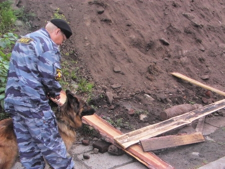 В Нижнем Тагиле экскаваторщик откопал снаряд от гаубицы - Фото 2