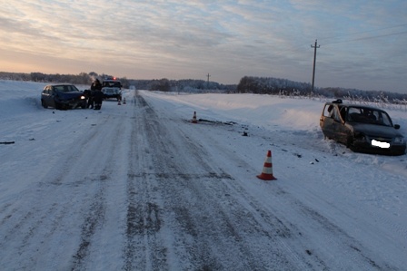 В столкновении «Нивы» и Renault на автодороге Тавда—Таборы пострадали три человека - Фото 3