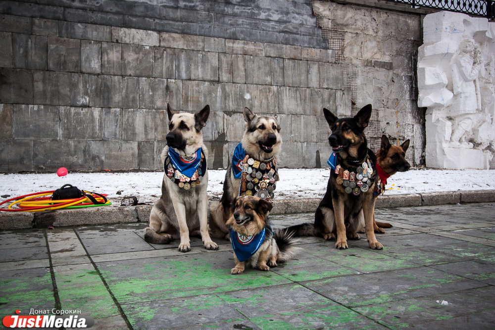 Собаки, марки и ракеты: Екатеринбург с размахом отмечает День космонавтики - Фото 4