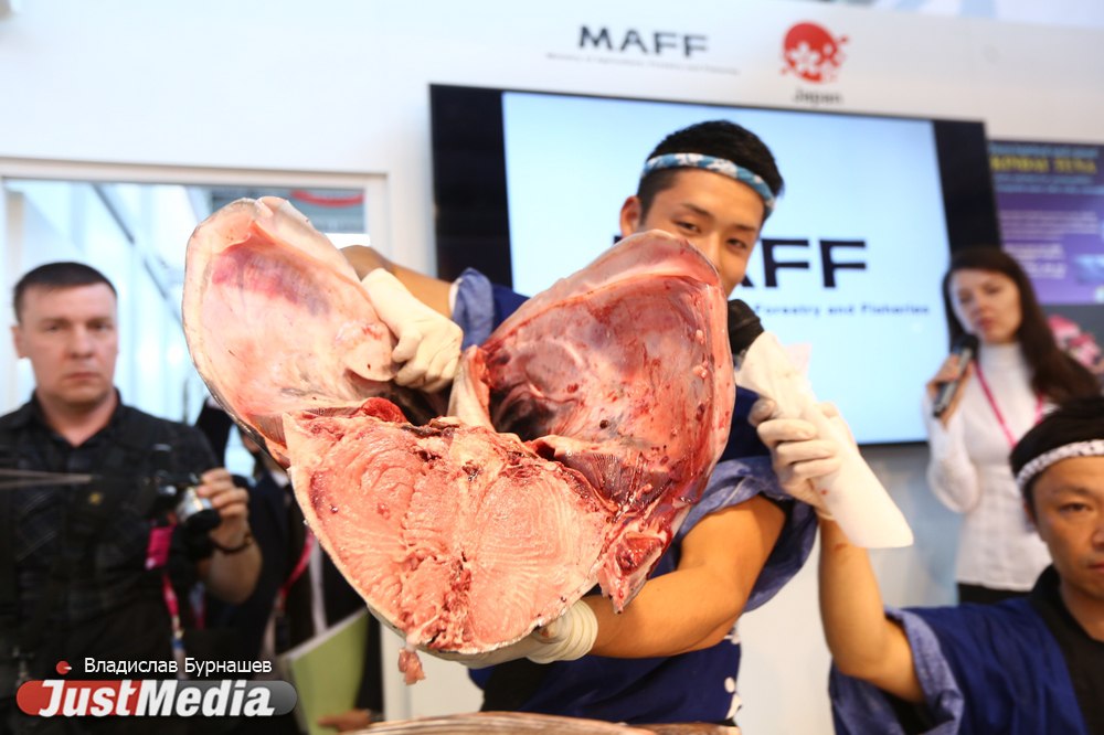 «Это лучшая часть промышленной выставки». Посетители ИННОПРОМа съели тунца весом 73 кг, искуственно выращенного в Японии. ФОТО - Фото 6