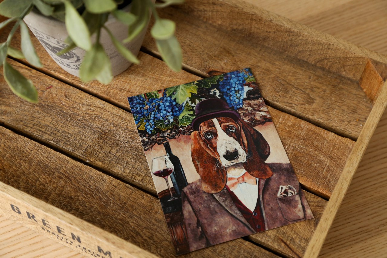 Посткроссеры подсели на открытки уральской художницы: почтовые карточки разлетаются по всему миру - Фото 5
