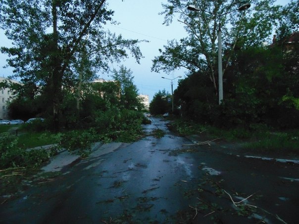 Ночью в Асбесте бушевал ураган: «На улицах, как после бомбежки: деревья вырывало с корнем, срывало крыши и балконы» - Фото 5