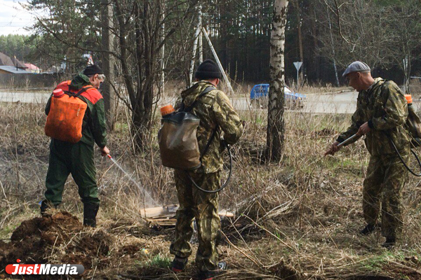 Более 50 камер мониторинга и новейшая техника: в Свердловской области начали вести борьбу с лесными пожарами - Фото 10