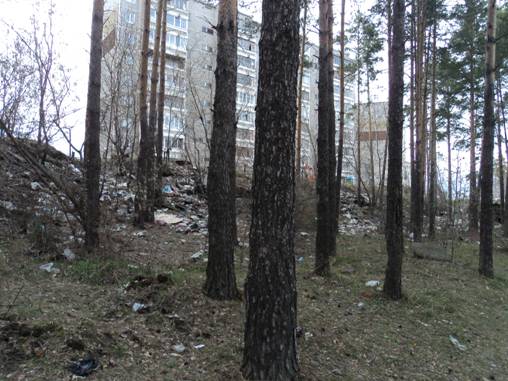 В Екатеринбурге прокуратура нашла свалку возле школы. Площадь захламленного участка составляет почти 12 тыс. кв. метров - Фото 2
