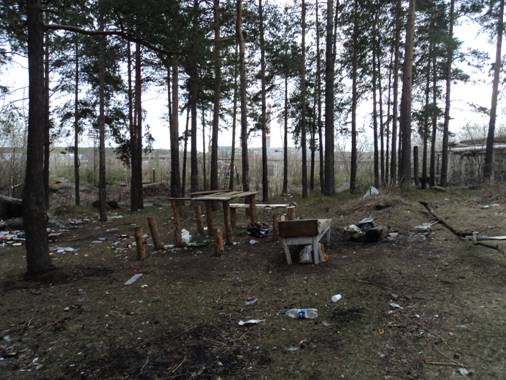 В Екатеринбурге прокуратура нашла свалку возле школы. Площадь захламленного участка составляет почти 12 тыс. кв. метров - Фото 4