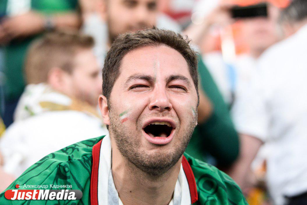 Все эмоции от поражения Мексики в матче со Швецией на лице одного болельщика. ФОТО - Фото 5