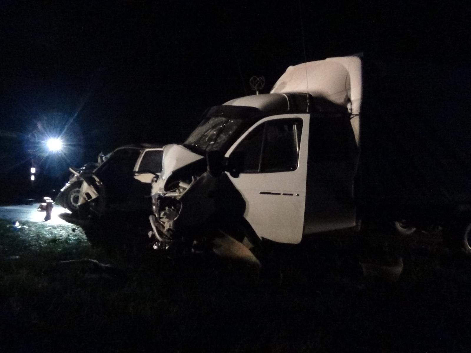 В Сысертском районе в столкновении с грузовой «ГАЗелью» погиб пассажир Nexia. Ее водитель скончался позднее в больнице - Фото 3
