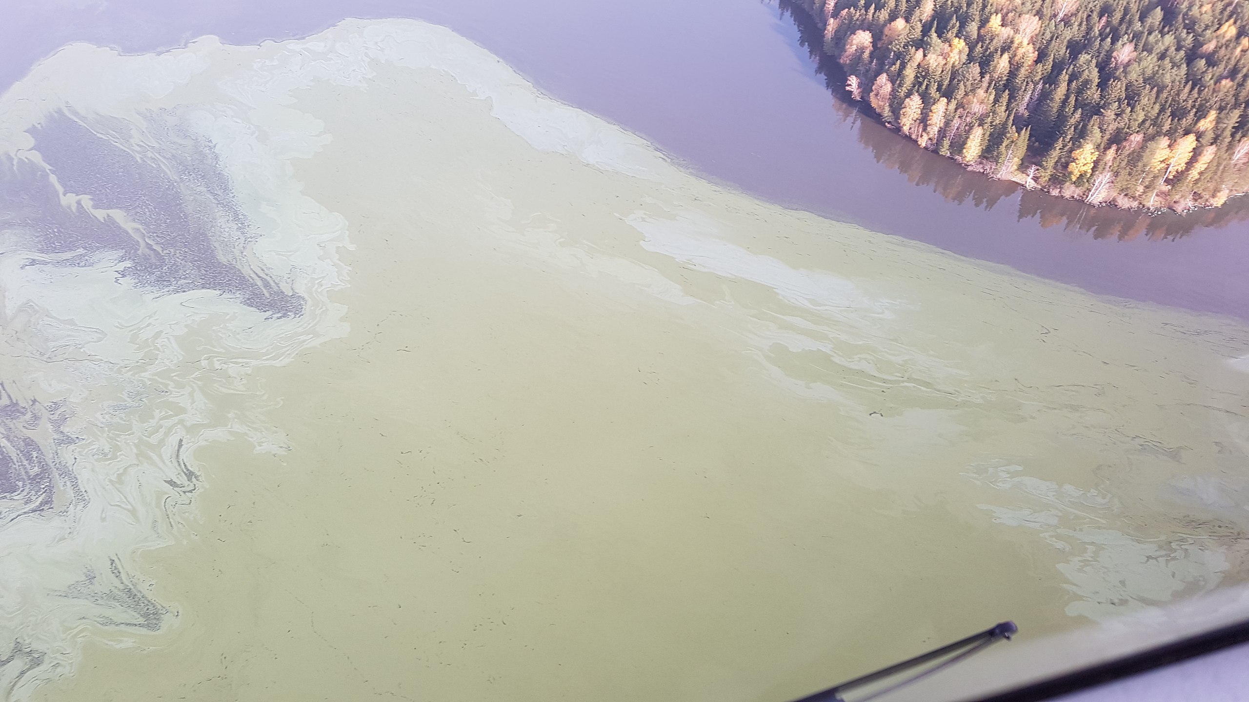 Экологи просят Чайку спасти нижнетагильский пруд. ФОТО, ВИДЕО - Фото 3