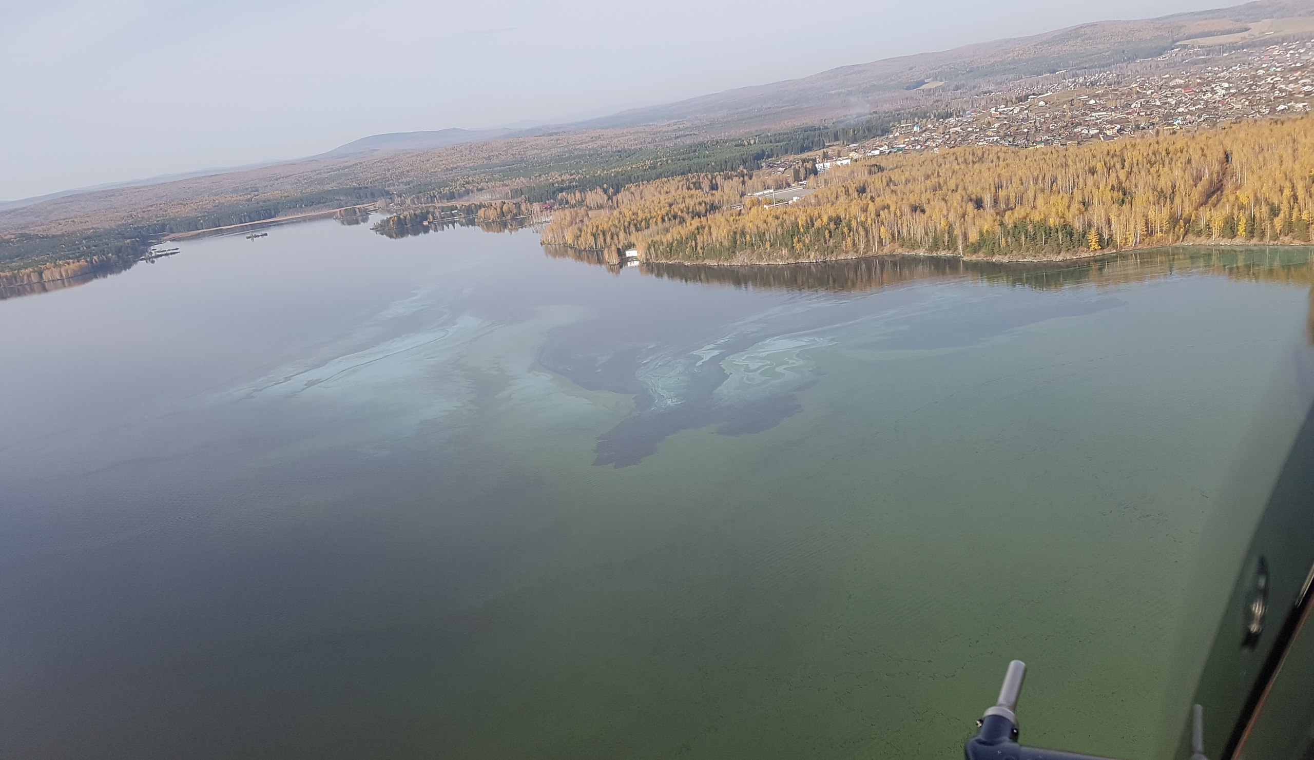 Экологи просят Чайку спасти нижнетагильский пруд. ФОТО, ВИДЕО - Фото 4