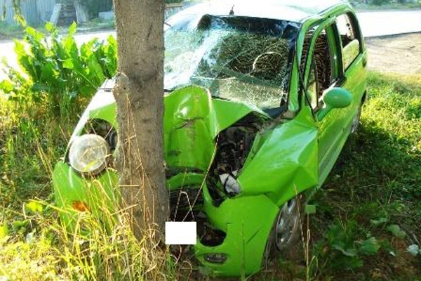 В Березовском водитель легковушки припарковалась в дерево, в Полевском — в продуктовый магазин - Фото 1