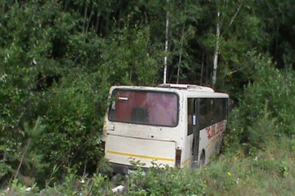В Кушве водитель автобуса съехал в кювет и врезался в дерево - Фото 1