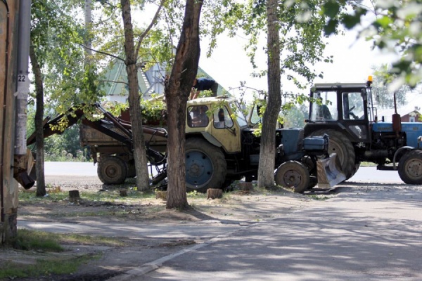 В Верхней Пышме местные власти принуждают коммерсантов вырубать деревья - Фото 1