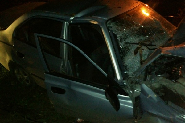 В Екатеринбурге иномарка врезалась в дерево. Погиб водитель - Фото 1