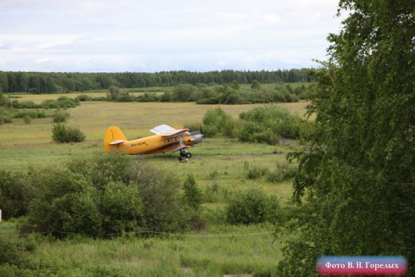 Частный самолет Ан-2 совершил жесткую посадку в поселке Полуночное - Фото 1