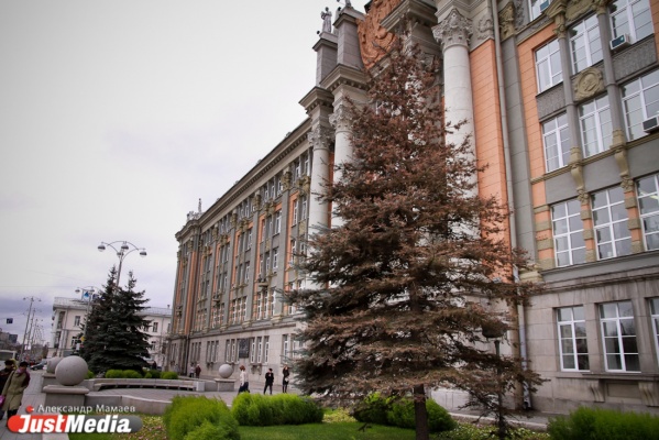 Доходы бюджета Екатеринбурга от использования городских земель составили 3,965 млрд. рублей - Фото 1