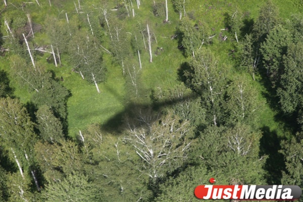 Поиски пропавшего Ан-2 с воздуха ведет пока только один вертолет - Фото 1