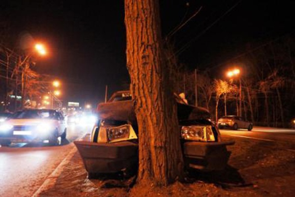 В Екатеринбурге лихач врезался в дерево. Пострадало два человека - Фото 1