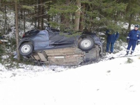 В Североуральске водитель иномарки врезалась в дерево - Фото 1