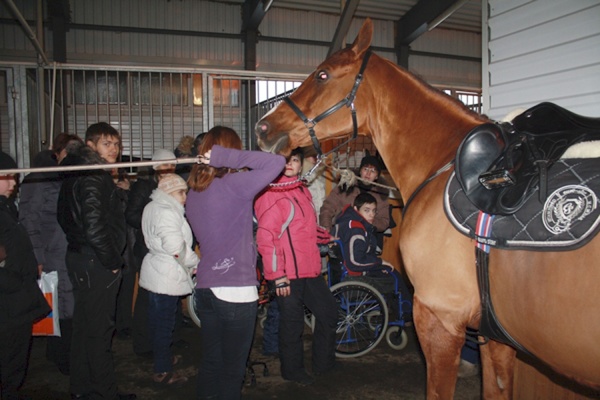 Дети с ограниченными возможностями провели выходные с лошадьми и паралимпийцами - Фото 1